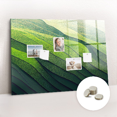 Magnet board Abstracte groene velden