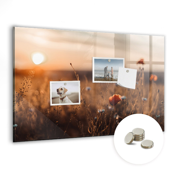 Magnet board Zonsopgang op het veld