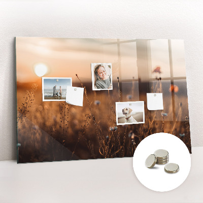 Magnet board Zonsopgang op het veld