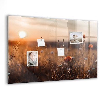 Magnet board Zonsopgang op het veld