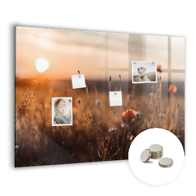 Magnet board Zonsopgang op het veld