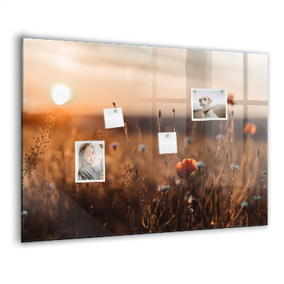 Magnet board Zonsopgang op het veld