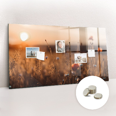 Magnet board Zonsopgang op het veld