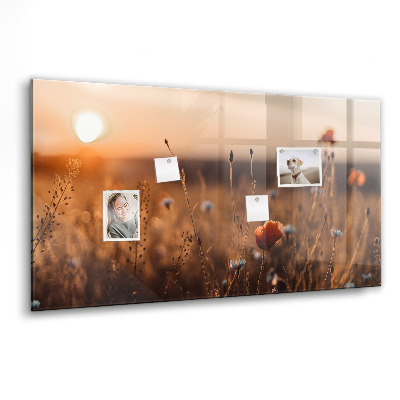 Magnet board Zonsopgang op het veld