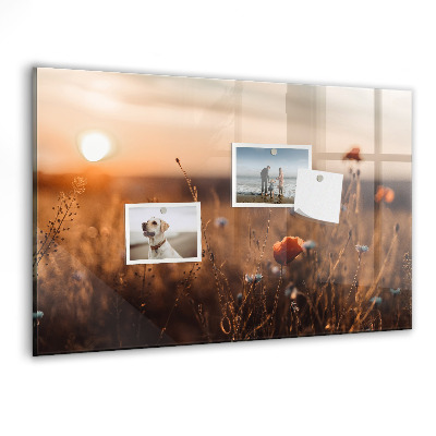 Magnet board Zonsopgang op het veld