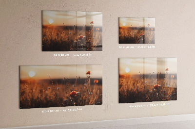 Magnet board Zonsopgang op het veld