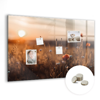 Magnet board Zonsopgang op het veld