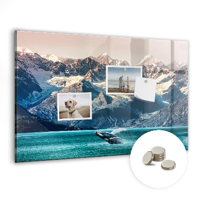 Magnetisch wandbord Walviswater