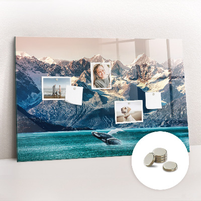 Magnetisch wandbord Walviswater