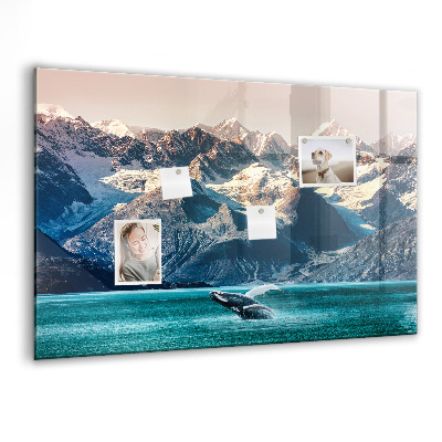 Magnetisch wandbord Walviswater