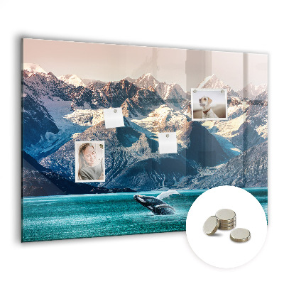 Magnetisch wandbord Walviswater
