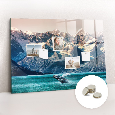 Magnetisch wandbord Walviswater
