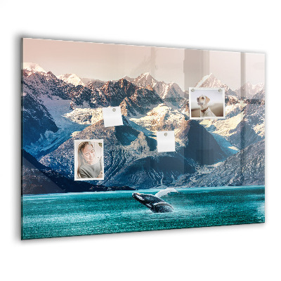 Magnetisch wandbord Walviswater