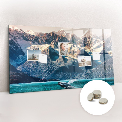 Magnetisch wandbord Walviswater