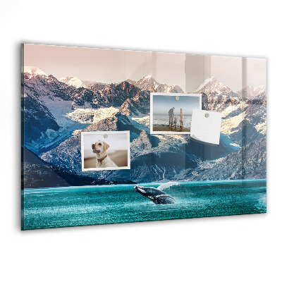 Magnetisch wandbord Walviswater