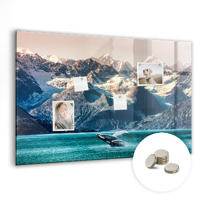 Magnetisch wandbord Walviswater