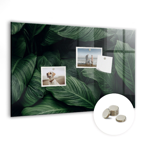 Memobord keuken Tropische monstera