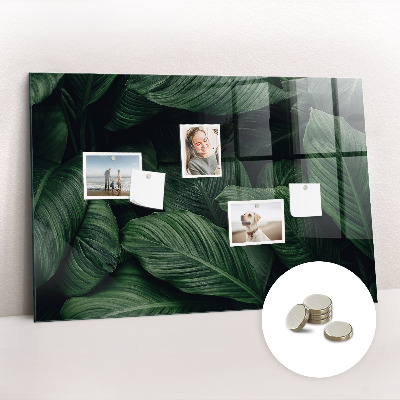 Memobord keuken Tropische monstera