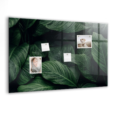 Memobord keuken Tropische monstera