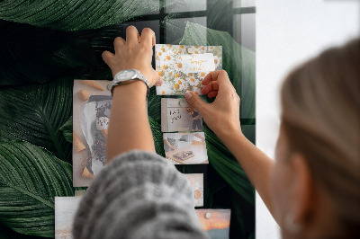 Memobord keuken Tropische monstera