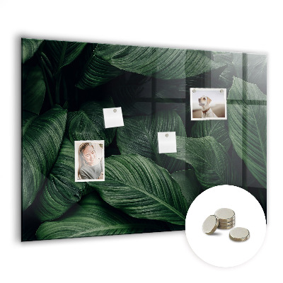 Memobord keuken Tropische monstera