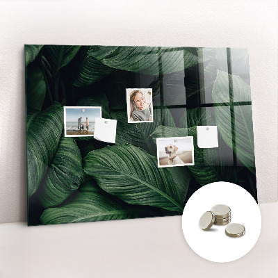 Memobord keuken Tropische monstera