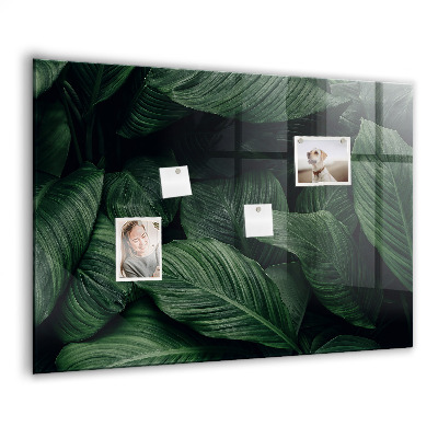 Memobord keuken Tropische monstera