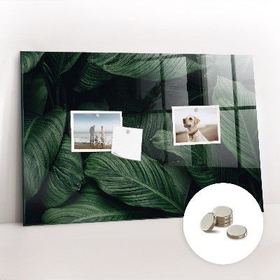 Memobord keuken Tropische monstera