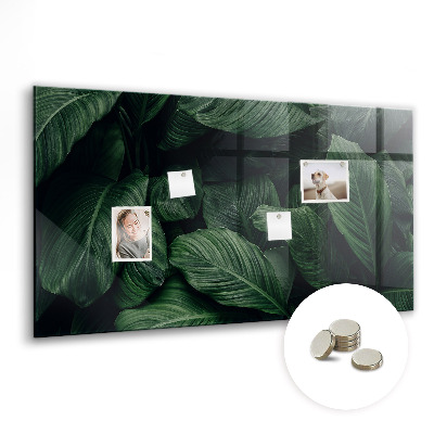 Memobord keuken Tropische monstera