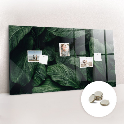 Memobord keuken Tropische monstera