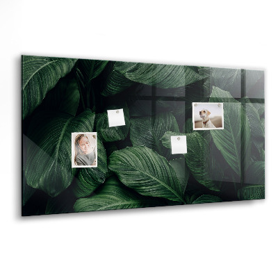 Memobord keuken Tropische monstera