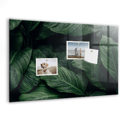 Memobord keuken Tropische monstera