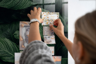 Memobord keuken Tropische monstera