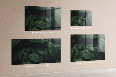 Memobord keuken Tropische monstera