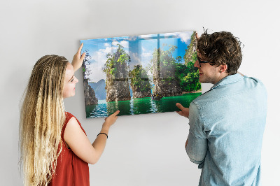 Magnet board Meerbomen natuur