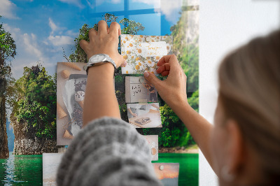 Magnet board Meerbomen natuur