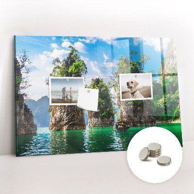 Magnet board Meerbomen natuur