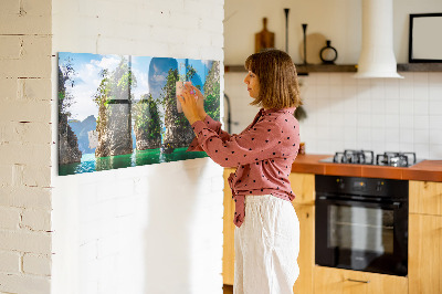 Magnet board Meerbomen natuur