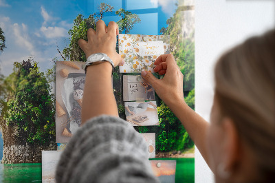Magnet board Meerbomen natuur