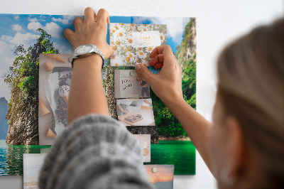 Magnet board Meerbomen natuur