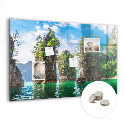 Magnet board Meerbomen natuur