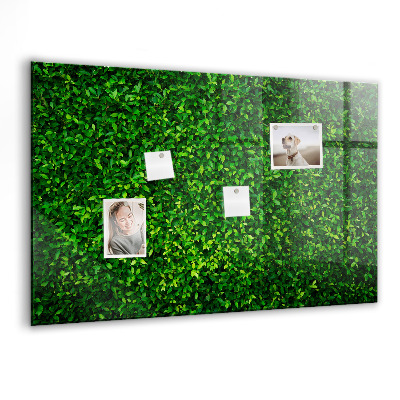 Memobord keuken Haagbladeren