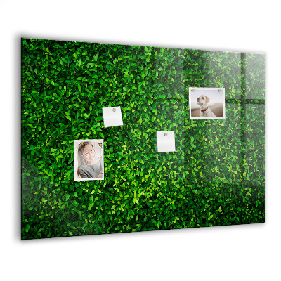 Memobord keuken Haagbladeren