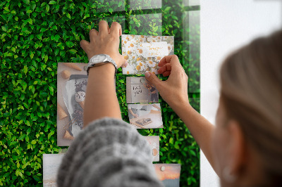 Memobord keuken Haagbladeren