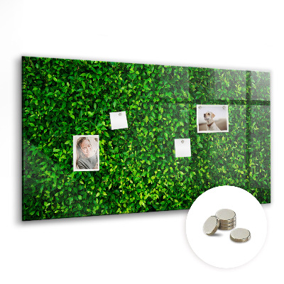 Memobord keuken Haagbladeren