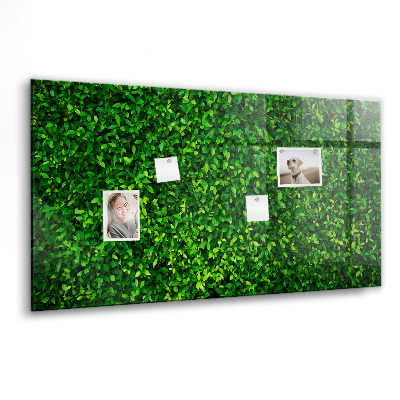 Memobord keuken Haagbladeren