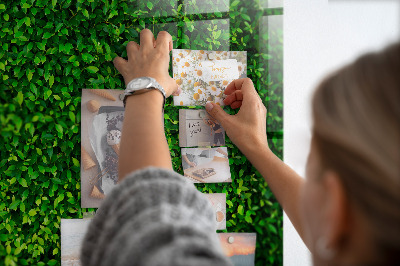 Memobord keuken Haagbladeren