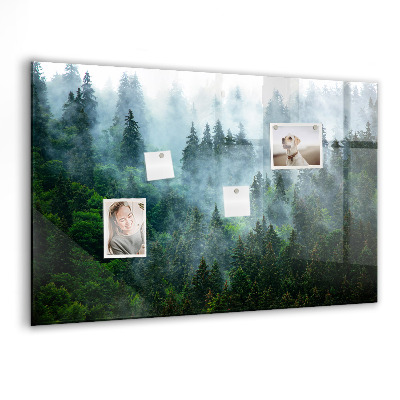 Magnetisch wandbord Mistig bos