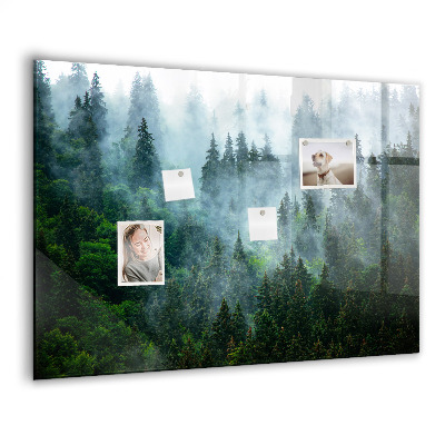 Magnetisch wandbord Mistig bos