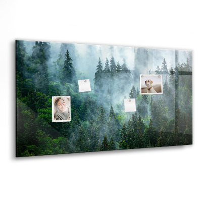 Magnetisch wandbord Mistig bos